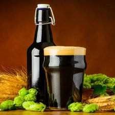 Bottle, dark, barley, hop, mug, Beer