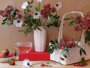 rowan, basket, strawberries, Twigs, composition