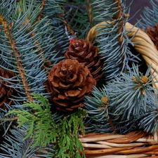 Twigs, cones, basket, conifer