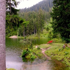 lake, Spruces, Bench, forest