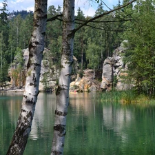 lake, Czech Republic, birch-tree, Ardspach