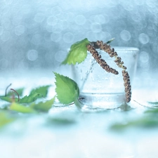 Bokeh, decoration, birch-tree, vase, Leaf