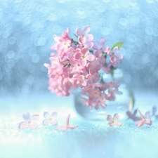 decoration, without, Bokeh, Pink