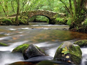 mossy, forest, stone, bridge, boulders, River
