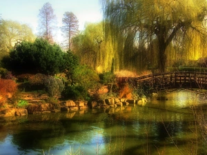bridge, willow, River