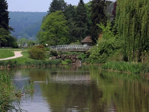 Park, bridges, Willow, Pond - car