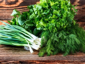 Green, Dill, parsley, bulb