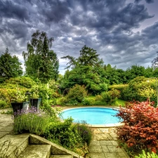 trees, Park, Bush, Flowers, viewes, Pool