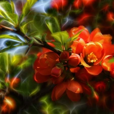 Bush, Fractalius, Red, Flowers, quince