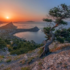 Great Sunsets, Mountains, pine, rocks, sea, trees, Bush