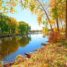 River, viewes, Leaf, willow, trees, Bush, reflection