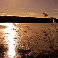 Cane, Great Sunsets, lake, dry, frozen