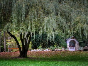Willow, chapel, trees, viewes, Park