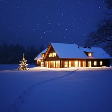 Floodlit, winter, christmas tree, house