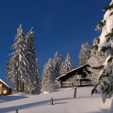 Snowy, winter, clean, Sky, Conifers, Houses