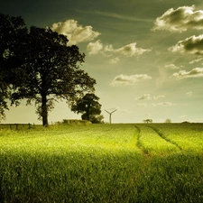 clouds, trees, cereals