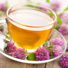 clover, blur, tea, Flowers, cup