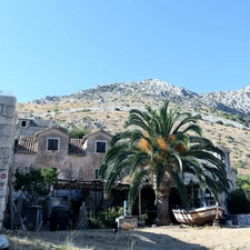 Mountains, Palm, Coartia, house