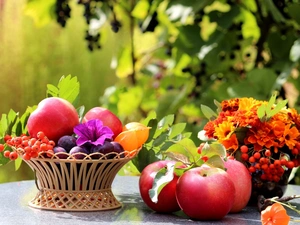 Plant, apples, compositions, basket, Flowers, plums