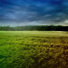 corn, breath, clouds