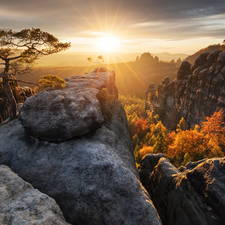 woods, rocks, pine, D???nsk? vrchovina, Saxon Switzerland National Park, Great Sunsets, Germany