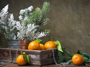 conifer, christmas tree, decoration, mandarin, composition