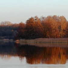 lake, viewes, early spring, trees