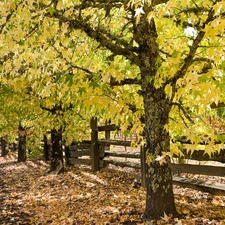 viewes, Way, fence, autumn, Leaf, trees