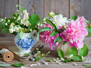 Flowers, jasmine, peony