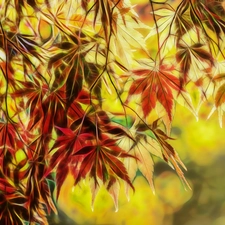 Fractalius, Leaf, maple