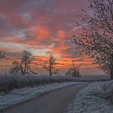 viewes, Way, White frost, Great Sunsets, Bush, trees