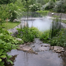 bridges, Flowers, Garden, Bush