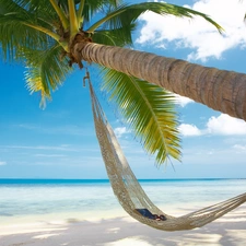 Glasses, Book, Palm, Hammock, Beaches