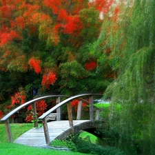 Park, bridges, graphics, Willow