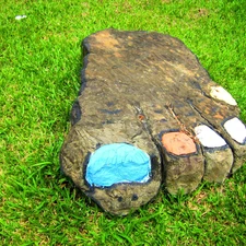 grass, Stone, foot