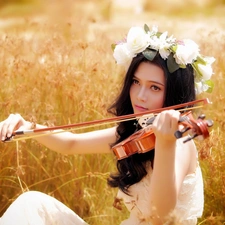 girl, Meadow, grass, violin