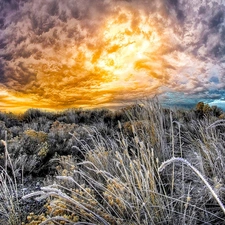 west, clouds, grass, sun