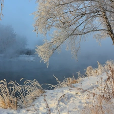 grass, winter, Fog, birch-tree, River