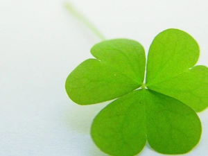 Green, trefoil