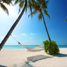 Hammock, Beaches, sun