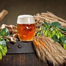 mug, composition, hop, corn, barrel, Beer