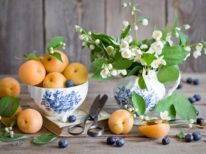 Flowers, Fruits, apricots, Jasmine