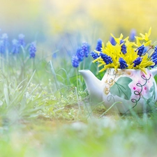 decoration, Muscari, jug, forsythia