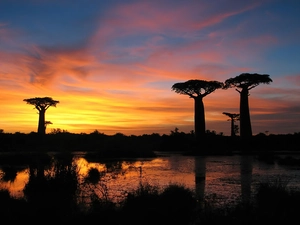 Great Sunsets, Baobab, lake