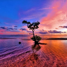 lake, trees, west, sun, clouds