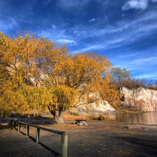 trees, rocks, lake, Bench