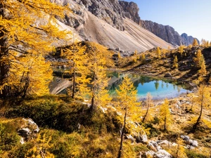lake, autumn, viewes, Larches, trees, Mountains