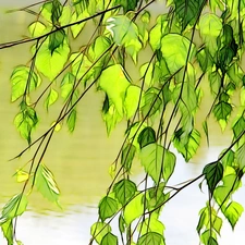 Fractalius, birch-tree, Leaf