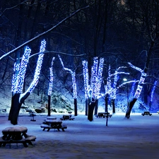 trees, Blue, lights, viewes