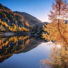 Lombardy, Italy, Mountains, lake, autumn, reflection, viewes, Larches, trees